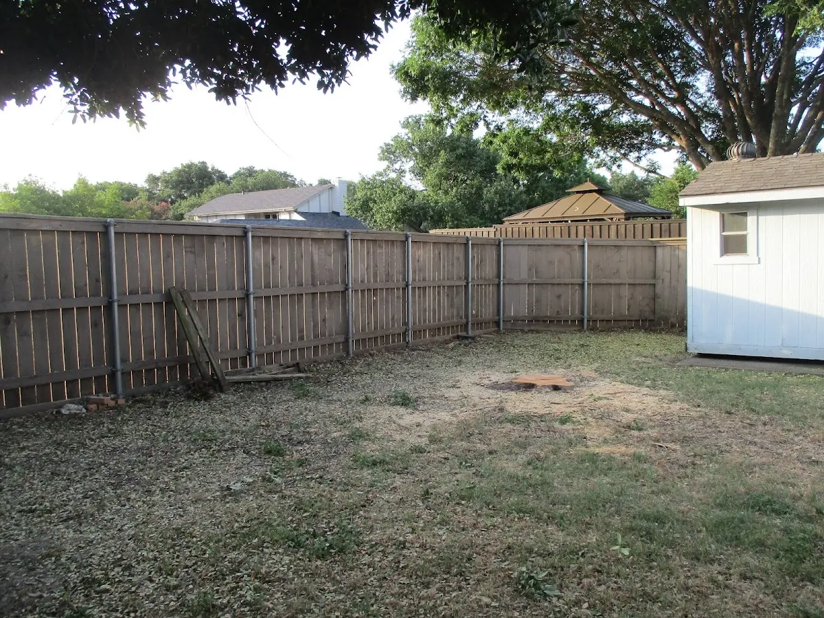 Cleared yard after professional tree removal in Swea City